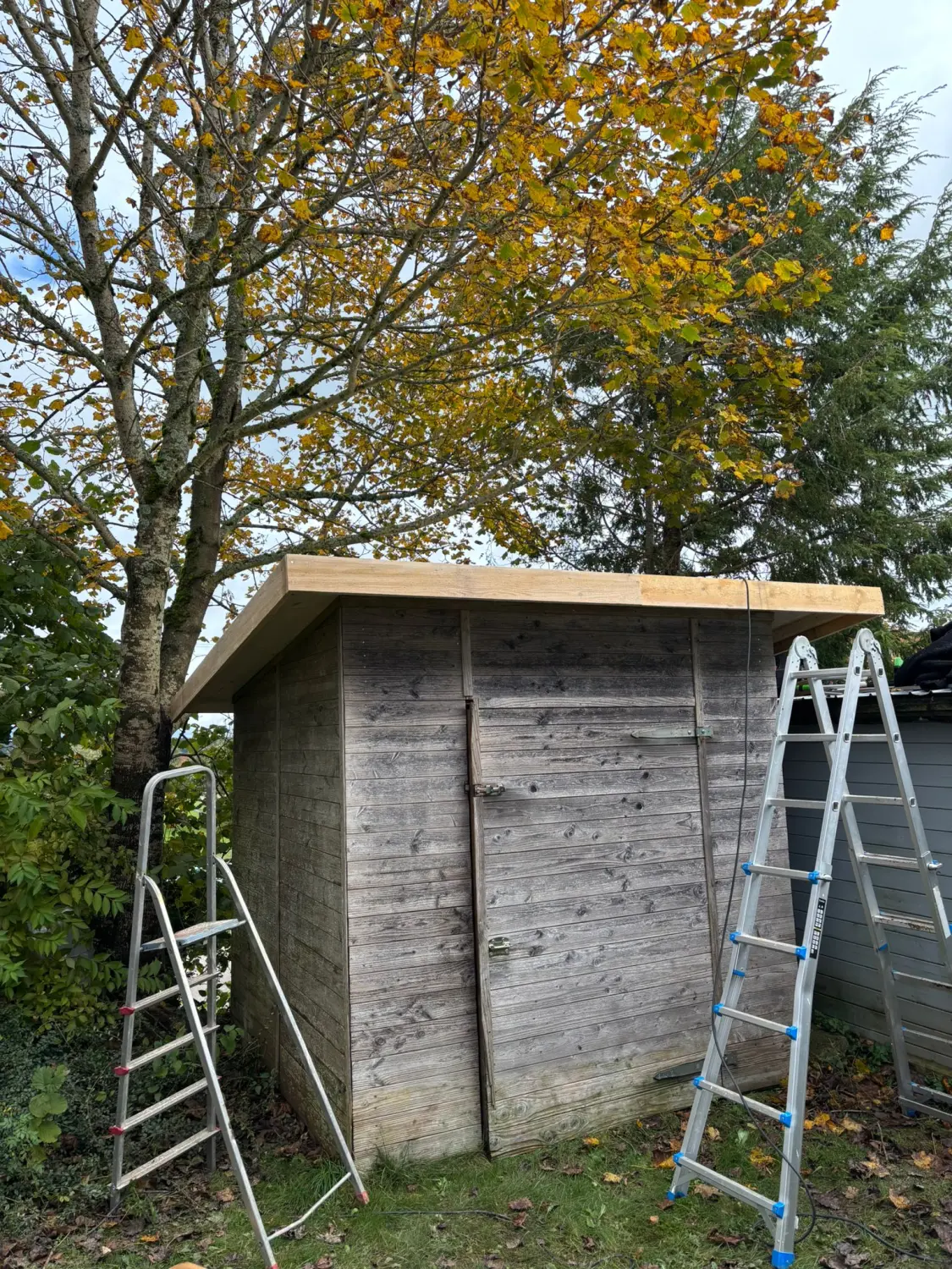 Dach- und Bodenbau von Höfler Bauservice