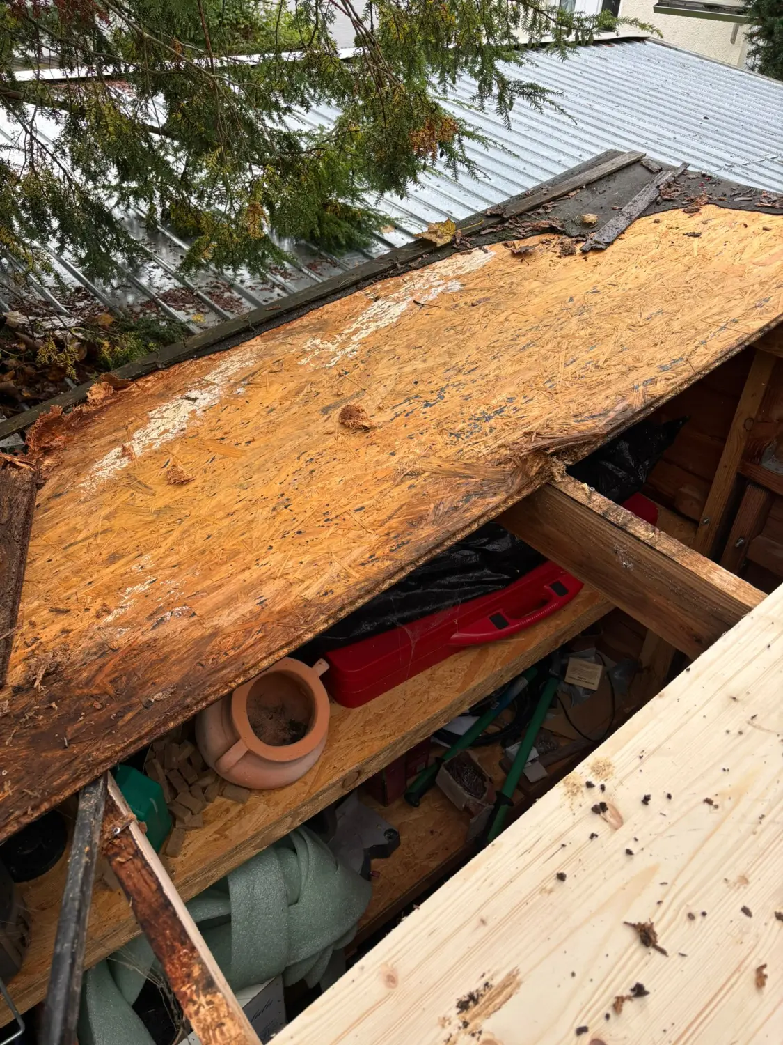 Dach- und Bodenbau von Höfler Bauservice
