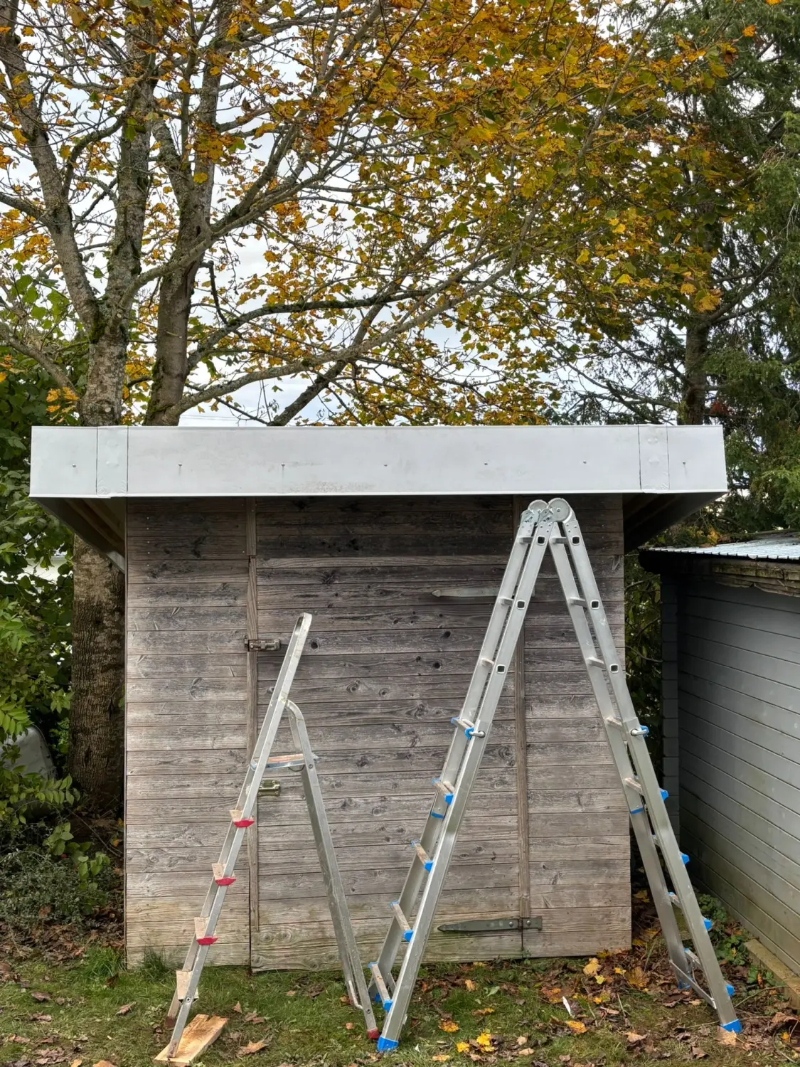 Flachdachbau von Höfler Bauservice