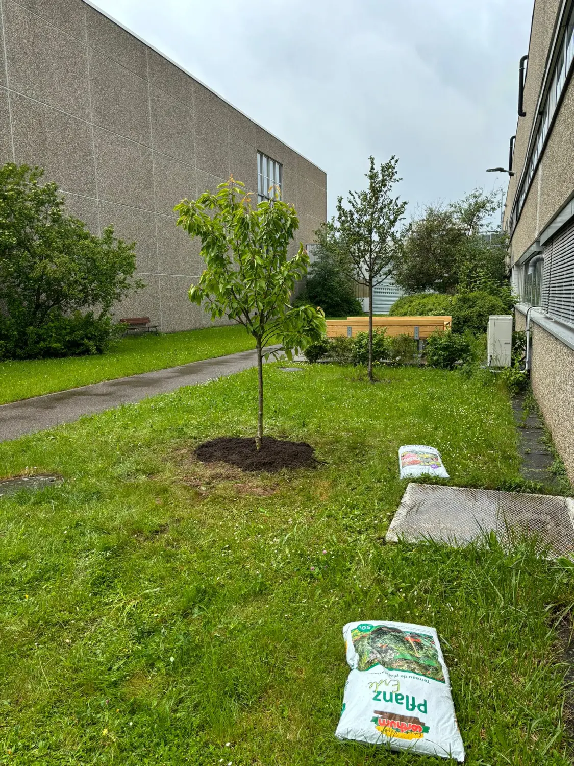 Garten- und Landschaftsbau von Höfler Bauservice
