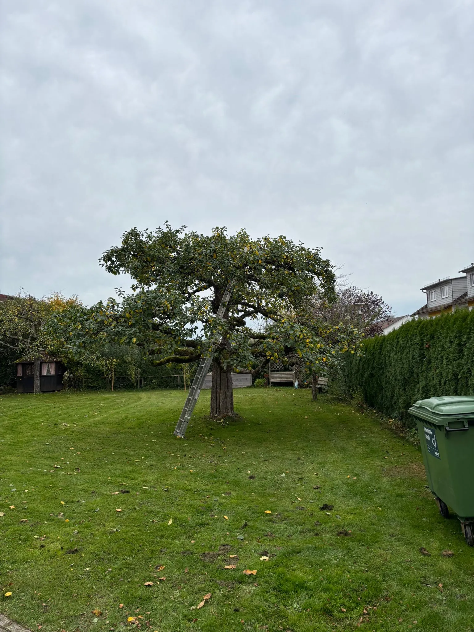 Gartenbau von Höfler Bauservice