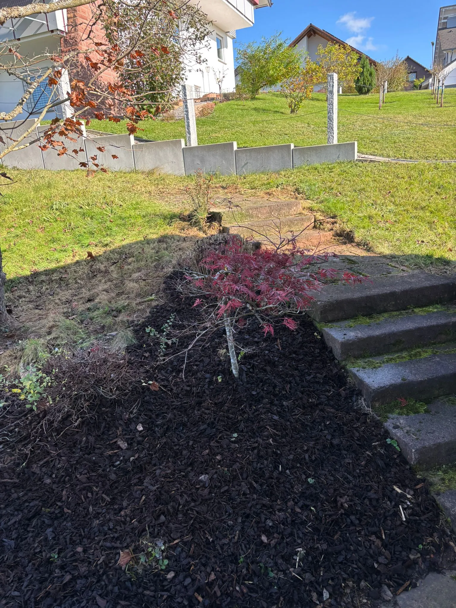 Gartenbau von Höfler Bauservice