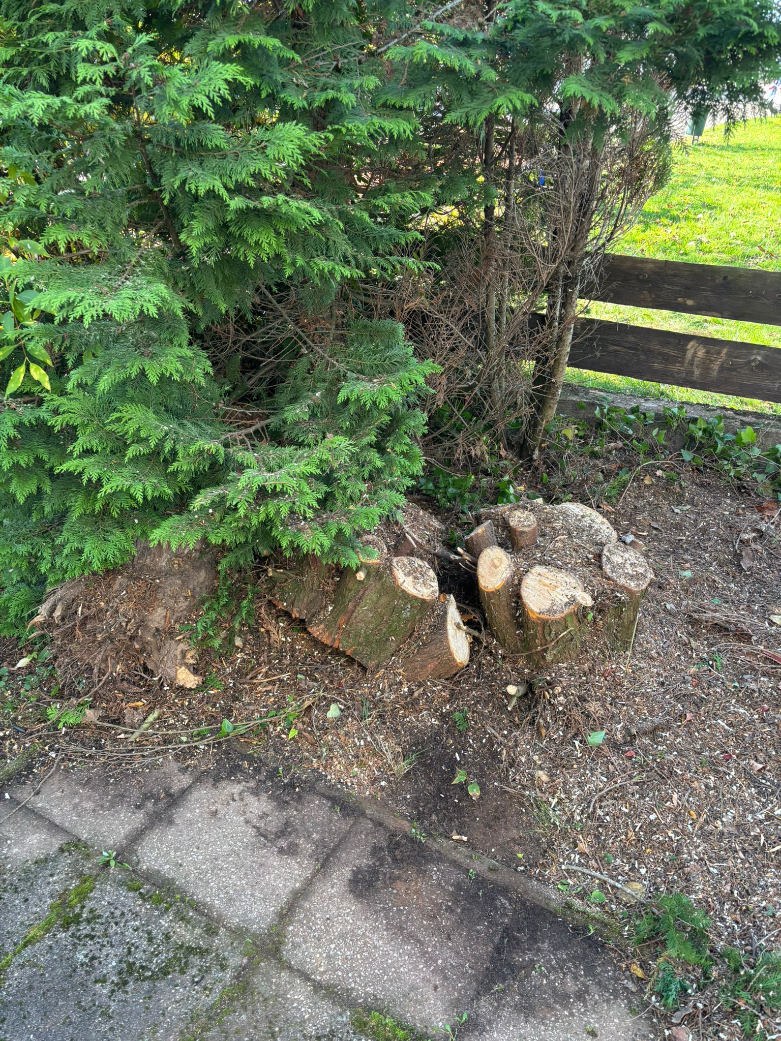 Gartenbau von Höfler Bauservice
