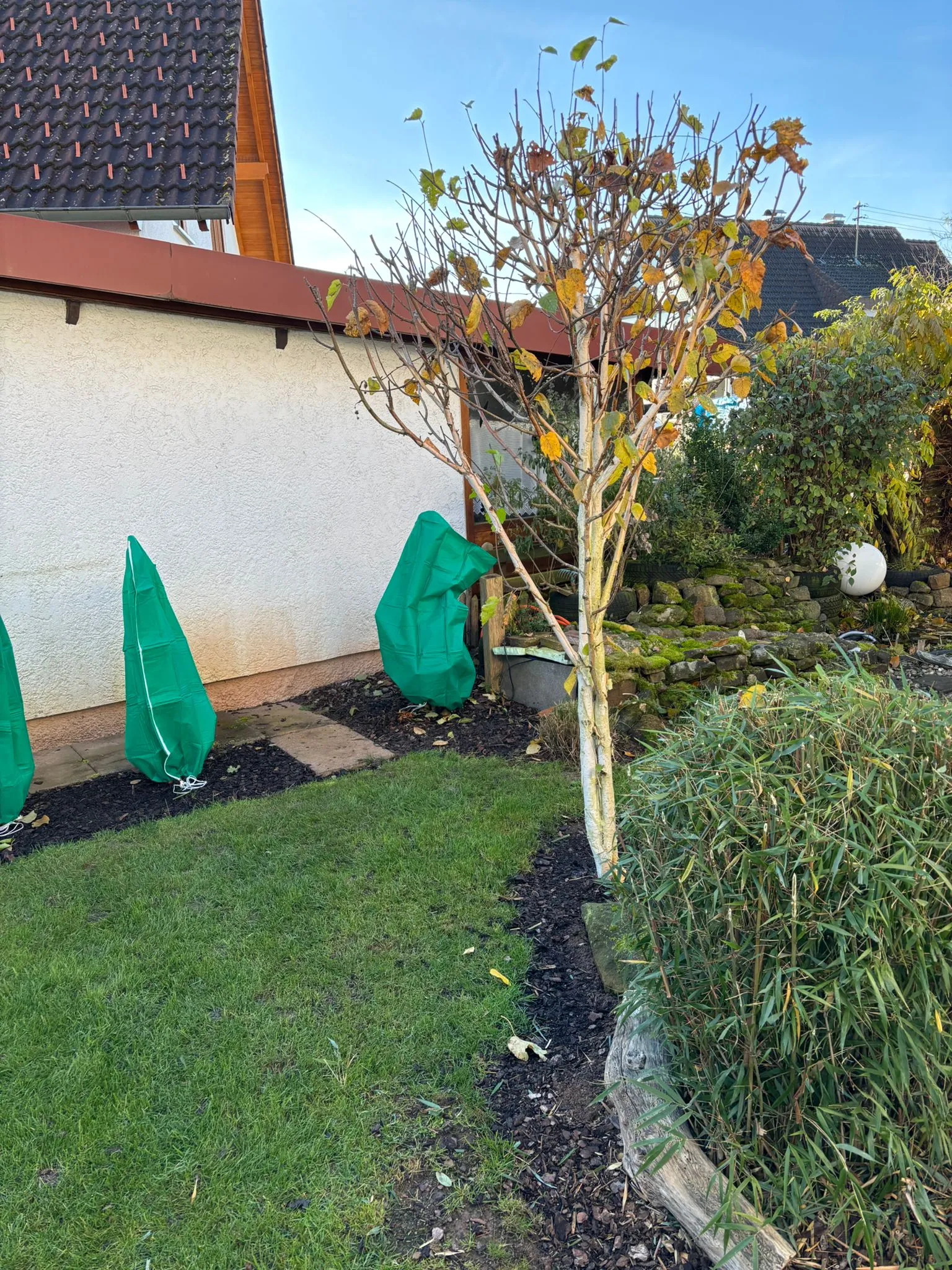 Gartenbau von Höfler Bauservice